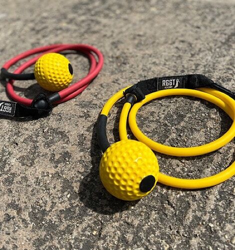 R66T Academy Bowlster