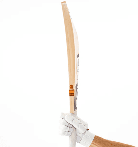 Focus Rival Pro Reserve Cricket Bat