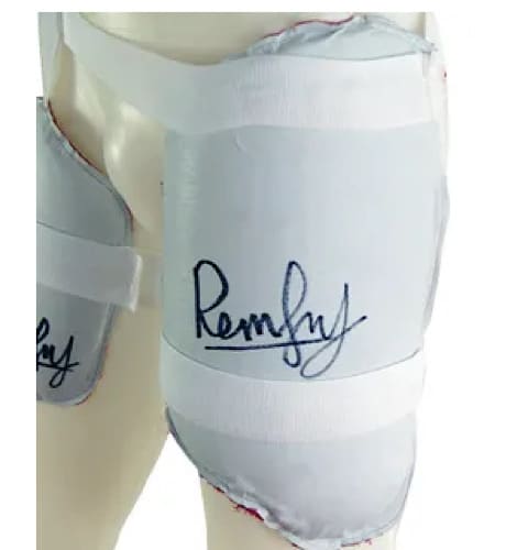 Remfry Thigh Guard