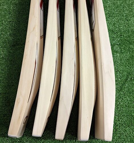 CP Epic cricket Bat