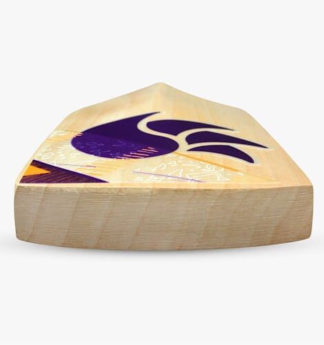 DSC David Warner Players Edition Cricket Bat