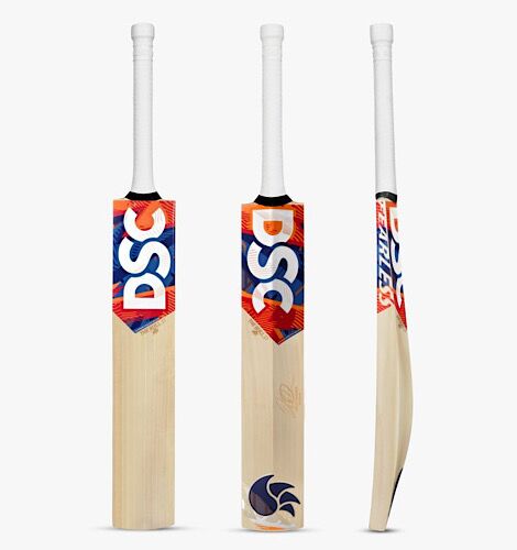 DSC David Warner Players Edition Cricket Bat