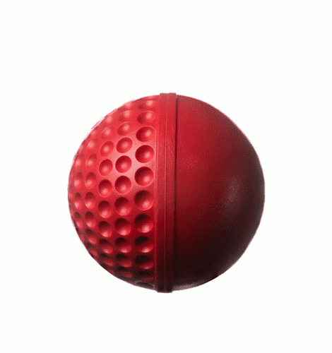 Swinga Technique Ball Red
