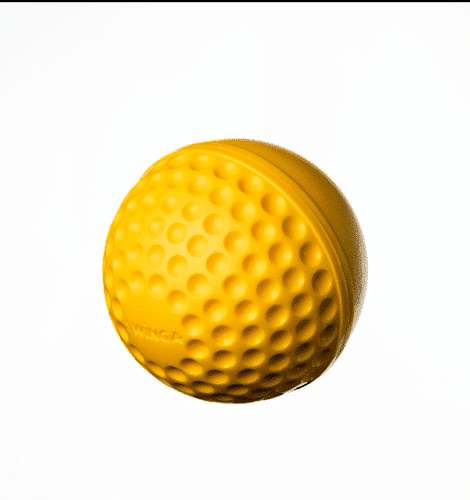 Swinga Technique Ball Yellow