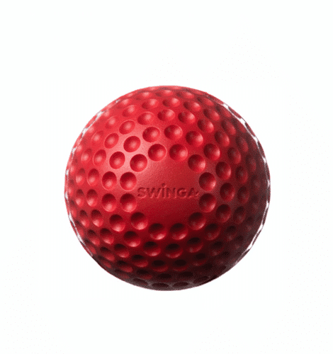 Swinga Technique Ball Red
