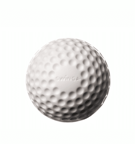 Swinga Technique Ball White