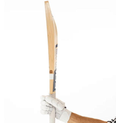 Focus Evo Cricket Bat