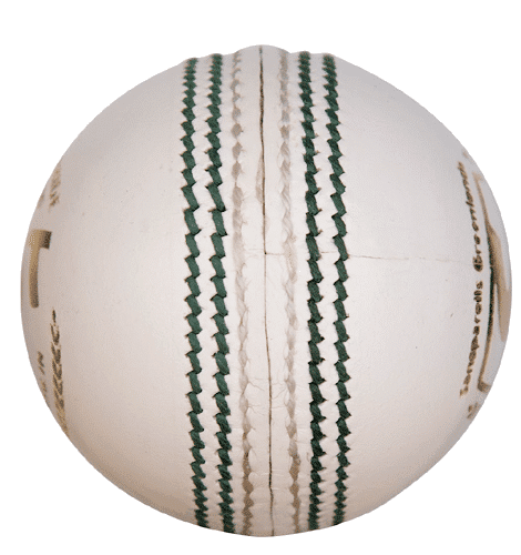 SG Test LE Leather Ball