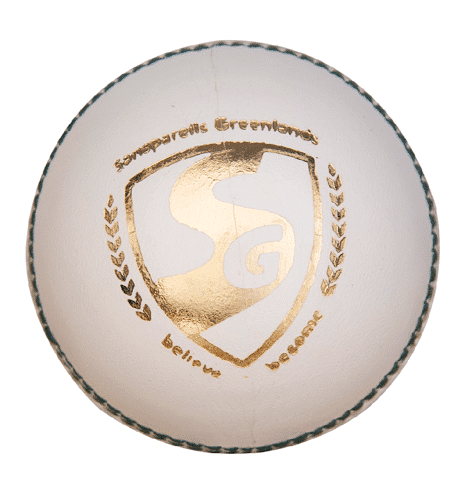 SG Test LE Leather Ball