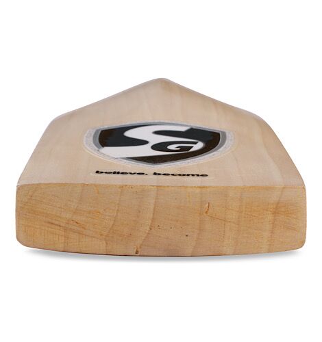 SG HP Flame Cricket Bat