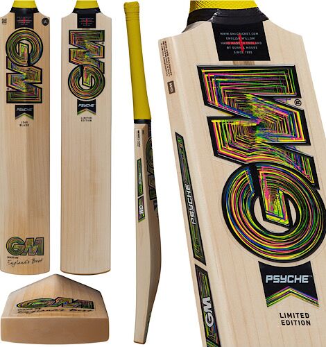 GM Psyche Cricket Bat