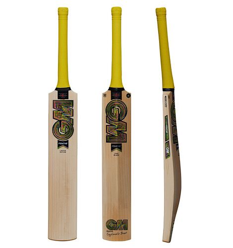 GM Psyche Cricket Bat