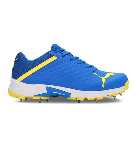 PUMA Spike 22.2 Cricket Shoes