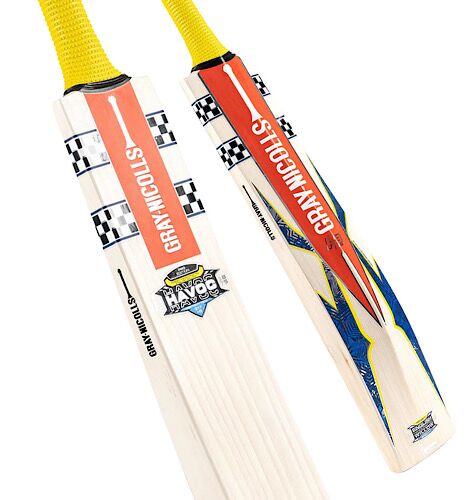 Gray-Nicolls Havoc HB317 Pro Edition cricket bat for professional performance