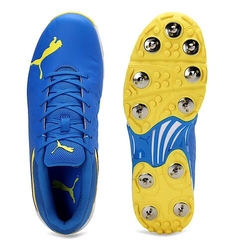 PUMA Spike 22.2 Cricket Shoes
