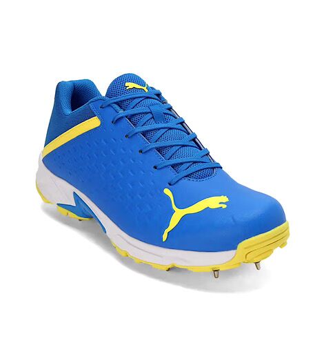 PUMA Spike 22.2 Cricket Shoes