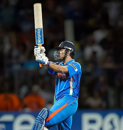 Reebok Blast Pro Cricket Bat