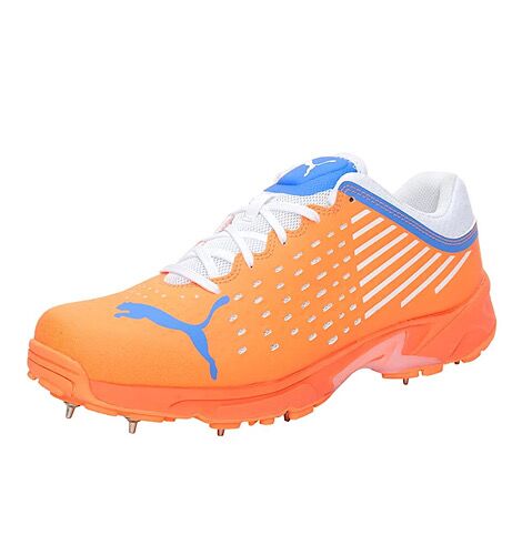 PUMA Spike 22.1 Cricket Shoes