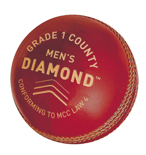 GM Diamond Cricket Ball