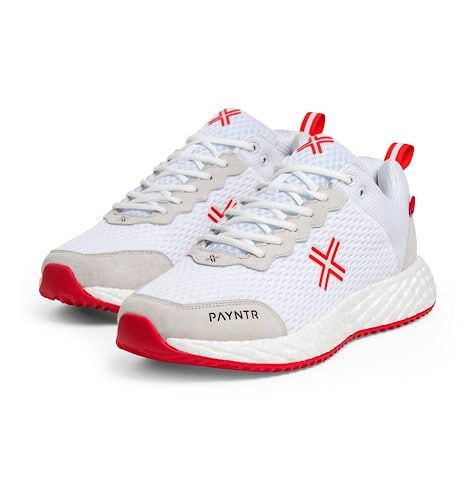 Payntr Bodyline 412 Trainer