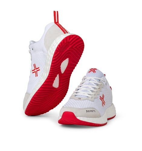 Payntr Bodyline 412 Trainer