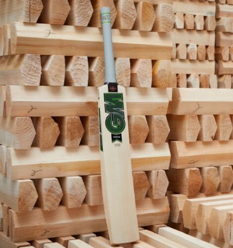 GM Aiden Markram Pro Players Edition Cricket Bat