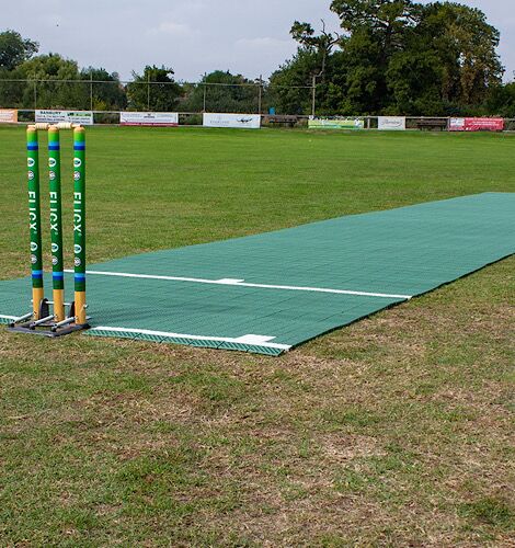 2G Flicx Cricket Match Batting End Pitch
